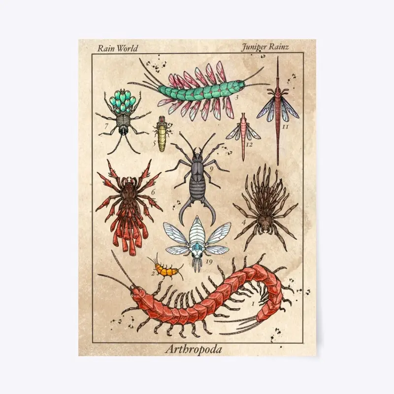 Insect Poster 